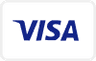 visa payment